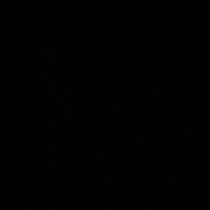 Meet your Posher, Lily